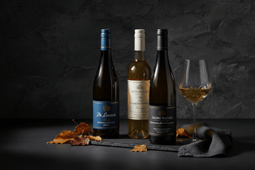 Tensión, Estructura y Alta Gama: El 11 Ideal de la Viticultura Alemana - La Cava