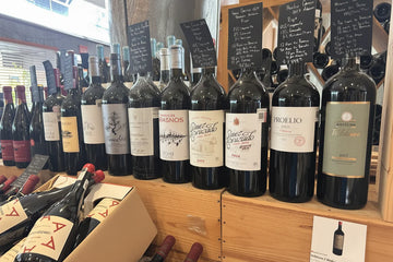 Recolección de Vinos en Pedregal | La Cava Shop - Viña Gourmet