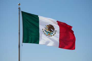 Vinos Tintos Mexicanos Envíos a todo México por $99