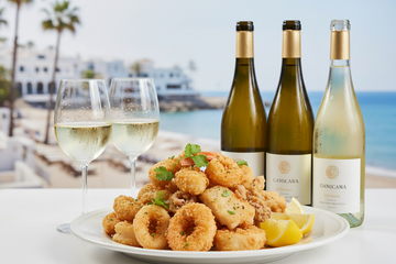 Vinos Maridaje con Mariscos Fritos y Platos Grasos