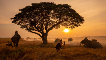Imagen de África