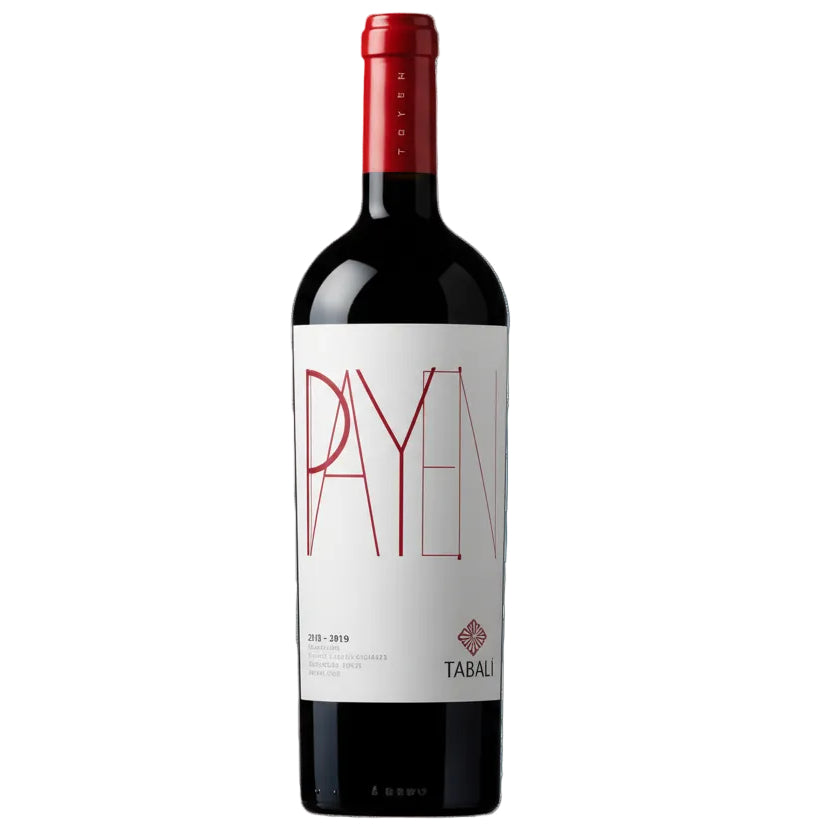 Payen 2018 Tabalí | Vino Tinto Icono Syrah del Valle de Limarí 750ml