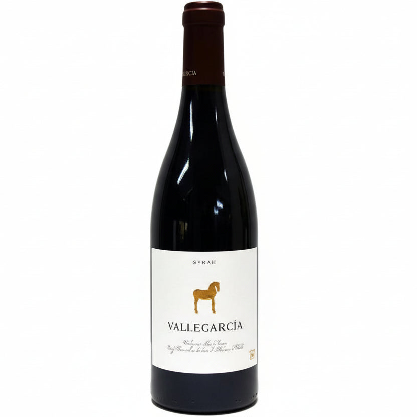 Vallegarcía Syrah 2022 | Vino Tinto de Pago - Pago de Vallegarcía