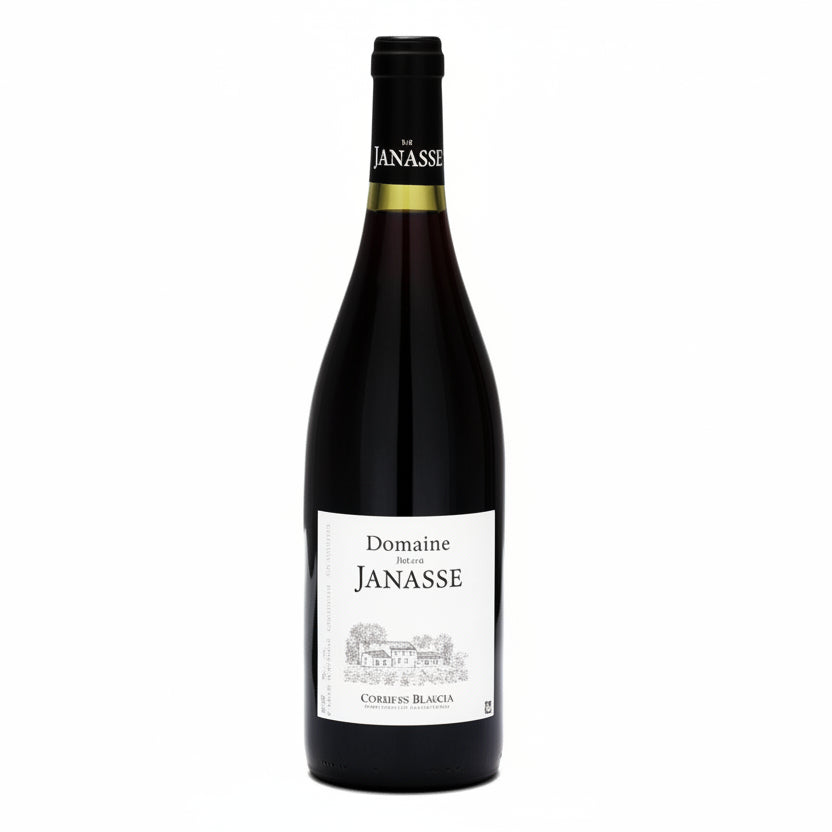 Vino-tinto-cotes-du-rhone-tradition-2022-Francia