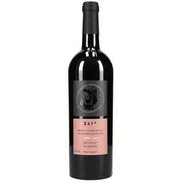 VinoTintoBinyaminaYogevCabernetShiraz
