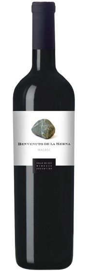 Vino_Tinto_Benvenuto_Tipo_Malbec