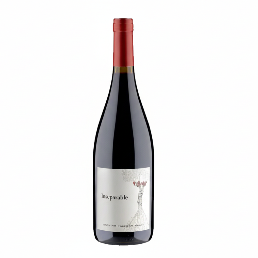 Vino Tinto Bressia Inseparable 2022 | Blend de Terroir, Mendoza 750ml