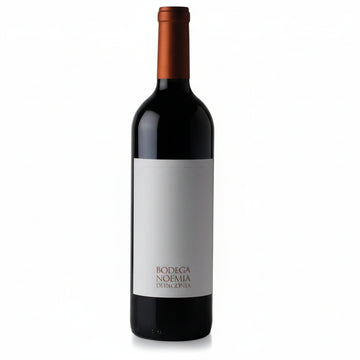 Vino Tinto Noemía 2020 | Malbec Icono de la Patagonia 