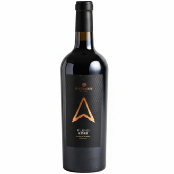 Vino Tinto Punto Norte Blend 2022 | Coahuila, México