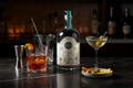 Gin Perro Desterrado - Negroni & Dry Martini