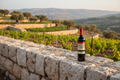 Judean Hills terroir