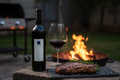 Rib Eye con Pozo de Luna Syrah