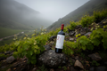 Terroir de clima fresco — Tabalí Payen 2018 Syrah
