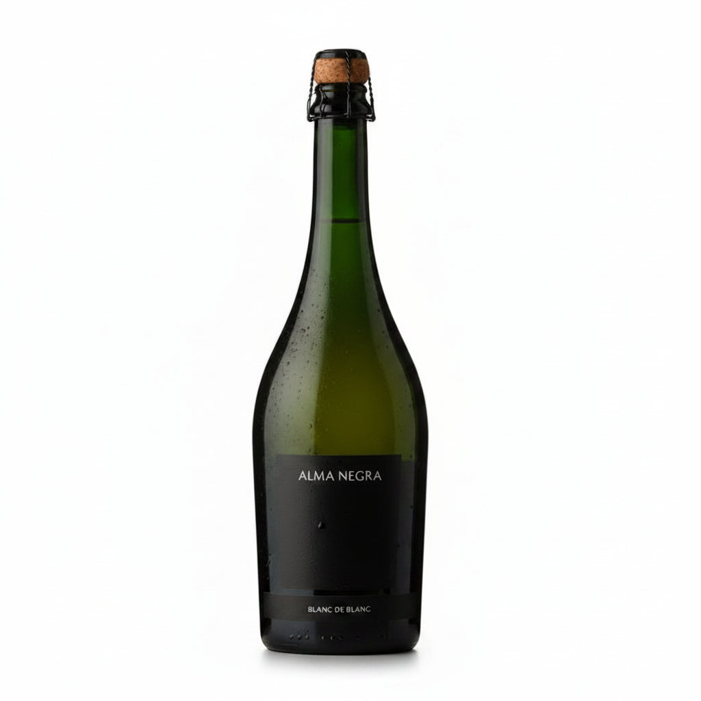 Vino Blanco Alma Negra Espumante Blanc de Blanc 1500ml Argentina - La Cava