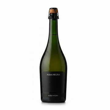 Vino Blanco Alma Negra Espumante Blanc de Blanc 1500ml Argentina - La Cava