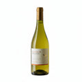 Vino Blanco Chardonnay Joven 750ml Valle Central - Vino de Chile - La Cava