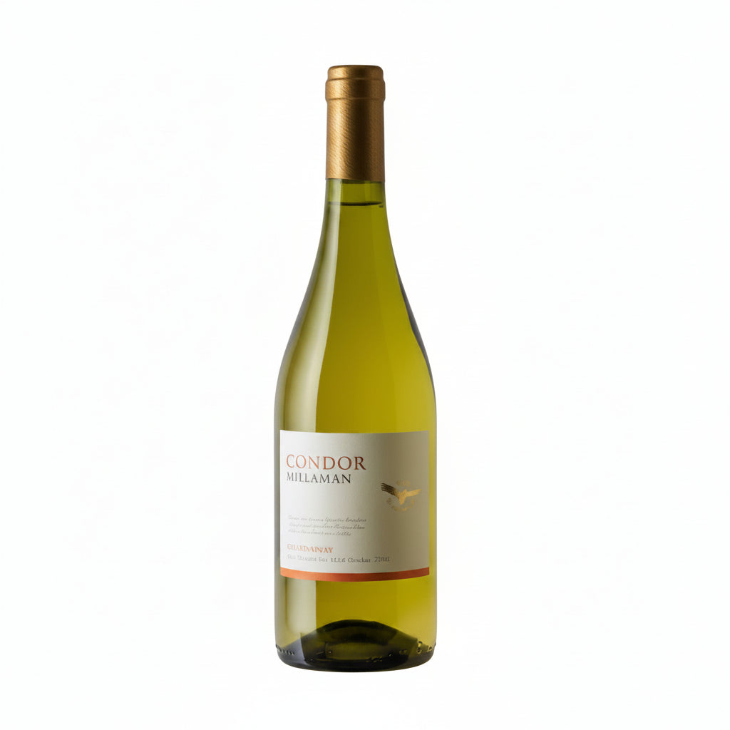 Vino Blanco Chardonnay Joven 750ml Valle Central - Vino de Chile - La Cava