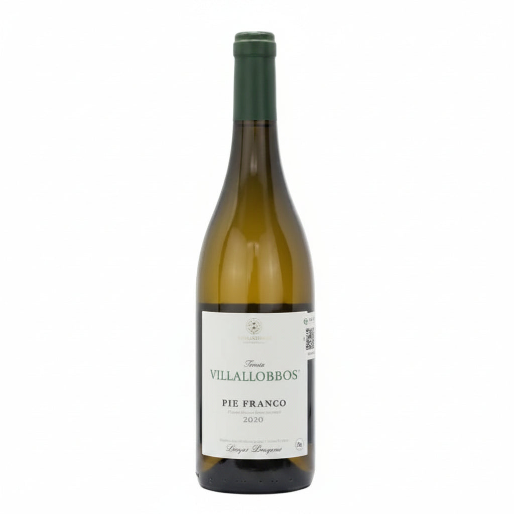 Vino Blanco Finca Villalobillos Pie Franco Airén 750ml - La Cava