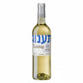 Vino Blanco Taanug Kosher 750ml D.O. Cataluña - Vino de España - La Cava