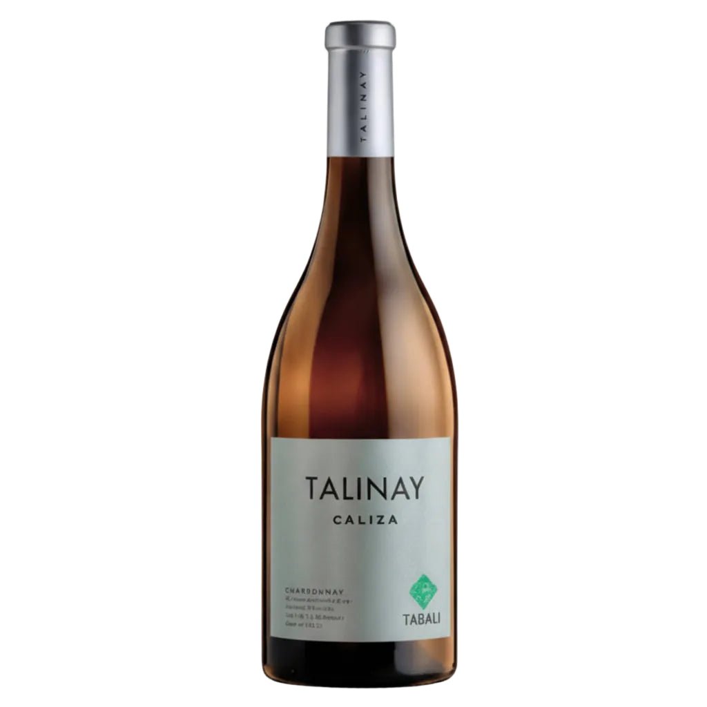 Vino Blanco Tabalí Talinay Caliza Chardonnay 2023 750ml Valle de Limarí, Chile - Vino Chileno - La Cava
