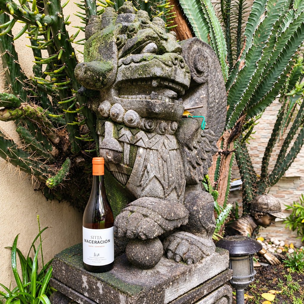 Vino Naranja Sitta Maceración 2022 750ml - La Cava