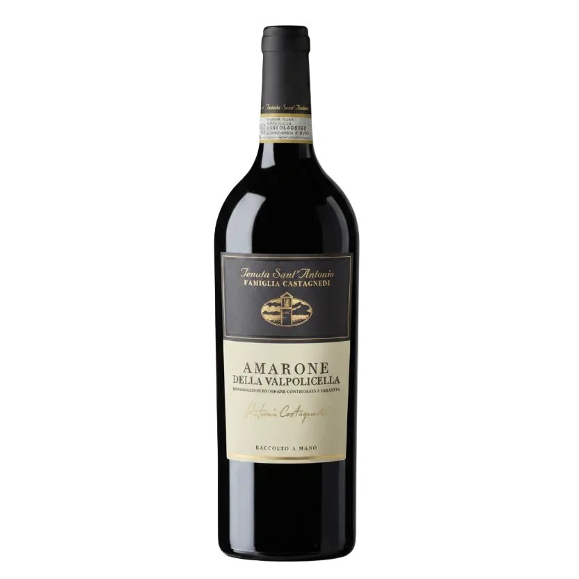 Vino Tinto Amarone De La Valpolicella Antonio Castagnedi, Verona- Vino de Italia - La Cava