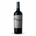 Vino Tinto Anaia Malbec 2022 750ml - Vino Argentino - La Cava