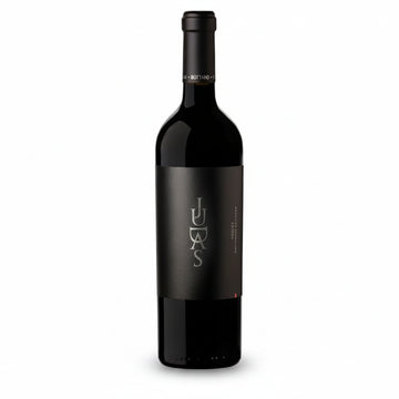 Vino Tinto Argentino Judas Malbec 750ml 2021 - La Cava