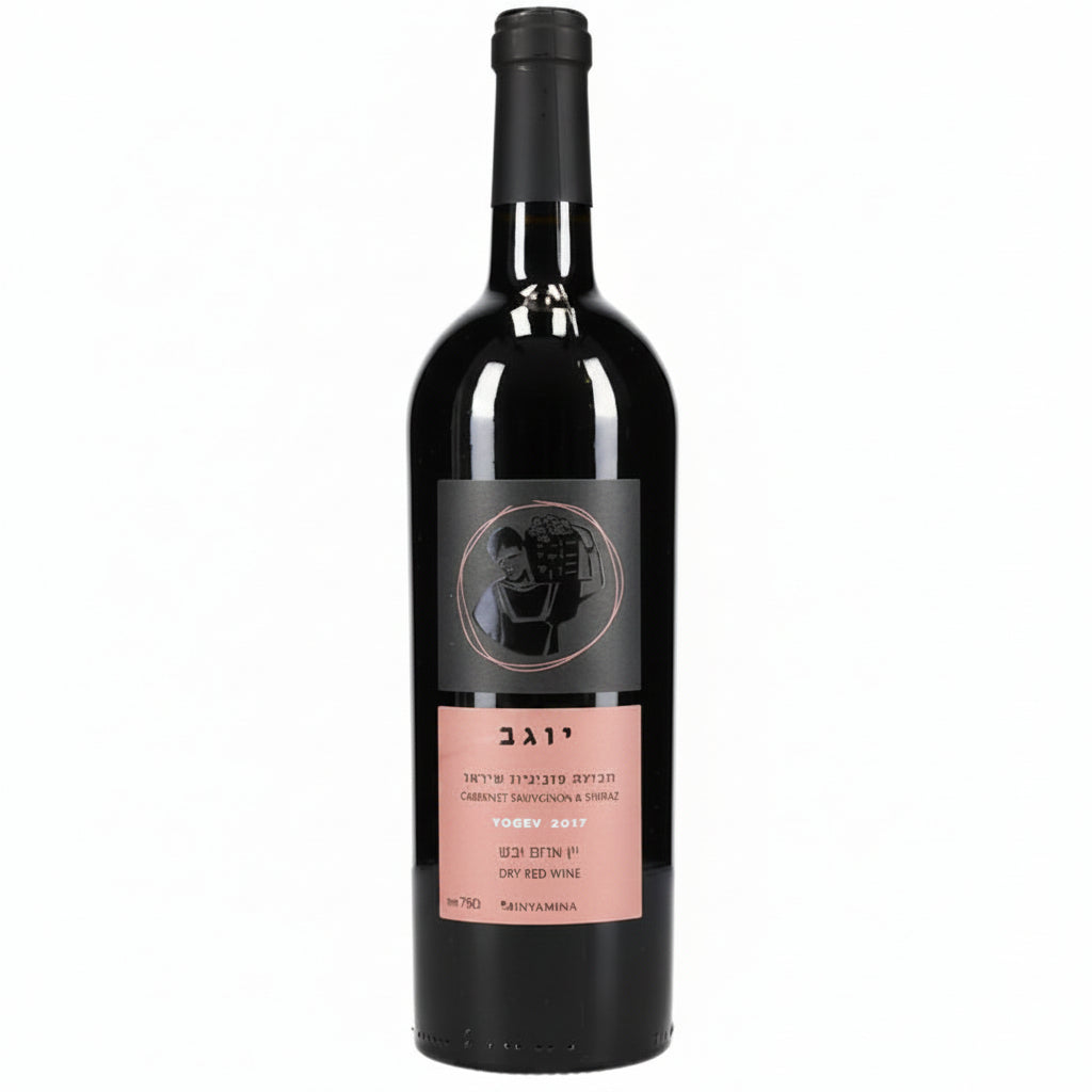 Vino Tinto Binyamina Yogev Cabernet Shiraz 750ml Israel - La Cava