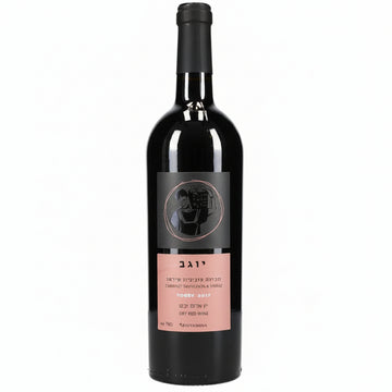 Vino Tinto Binyamina Yogev Cabernet Shiraz 750ml Israel - La Cava