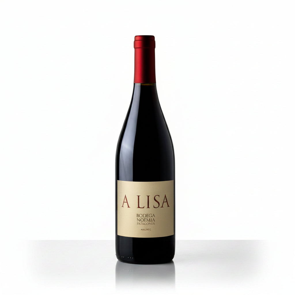 Vino Tinto Bodega Noemia A Lisa 2022 750ml Patagonia - Vino Argentino - La Cava