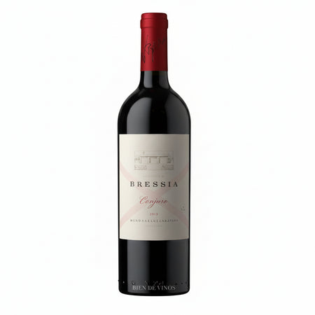 Vino Tinto Bressia Conjuro 750ml Edición Limitada, - Vino Argentino - La Cava