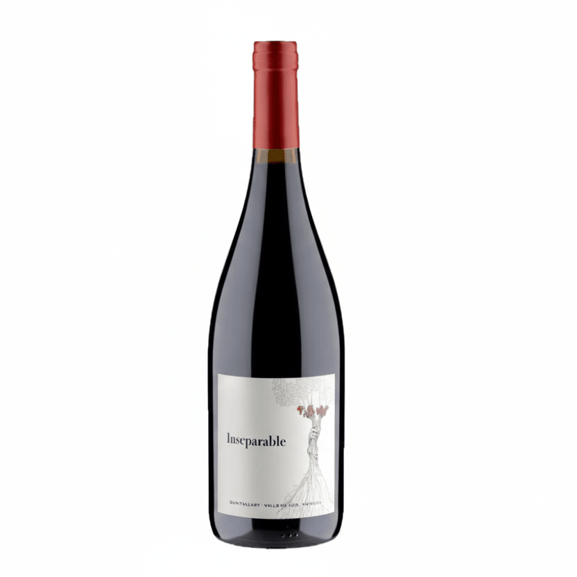 Vino Tinto Bressia Inseparable 750ml - Vino de Argentina - La Cava