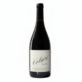 Vino Tinto Bressia Volare del Camino Pinot Noir 750ml - Vino Argentino - La Cava