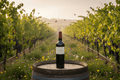 Vino Tinto CADE Estate Cabernet Sauvignon 750ml - Vino de Estados Unidos - La Cava