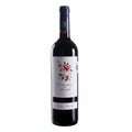 Vino Tinto Camins 2023 de 750ml - Vino de España - La Cava