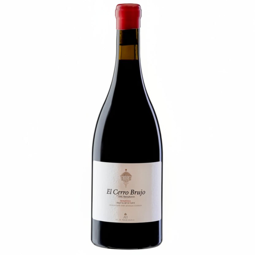 Vino Tinto Cerro Brujo 2021 750ml DOQ Priorat - Vino de España - La Cava