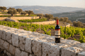 Vino Tinto Kosher Shiloh Reserve Petite Sirah 750ml Israel - La Cava