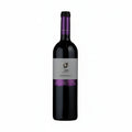 Vino tinto kosher teperberg vision cabernet sauvignon 750 ml - La Cava