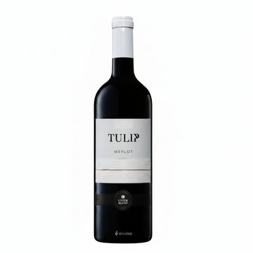 Vino tinto Kosher tulip merlot 2021 750ml israel - Vino de Israel - La Cava