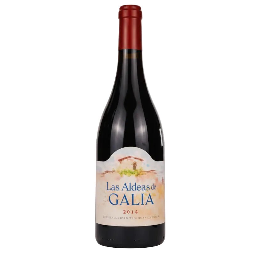 Vino Tinto Las Aldeas de Galia 750ml 2023 - La Cava