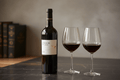 Vino Tinto Merlot Selección 750ml Valle Central - Vino de Chile - La Cava