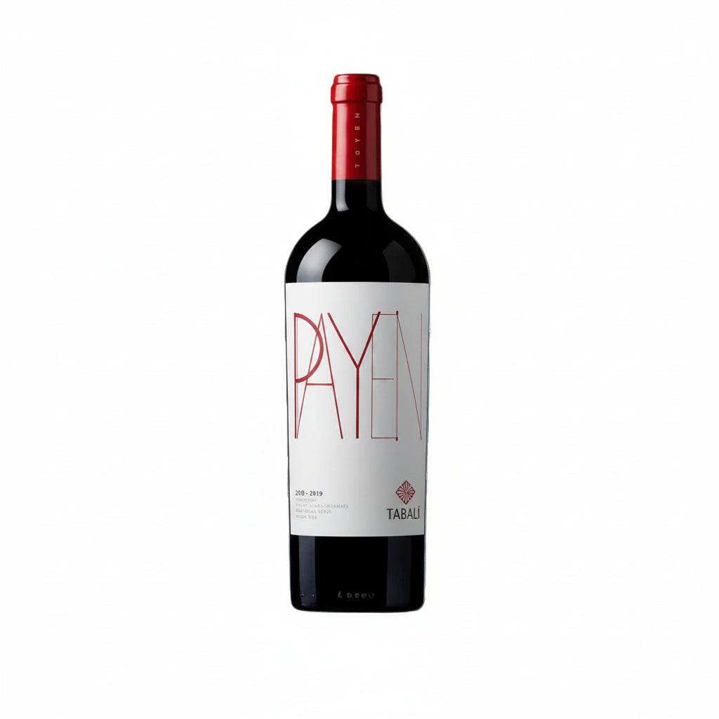 Vino Tinto Payen 2018 750ml Tabalí Valle de Limarí - Vino de Chile - La Cava