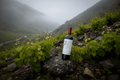Vino Tinto Payen 2018 750ml Tabalí Valle de Limarí - Vino de Chile - La Cava