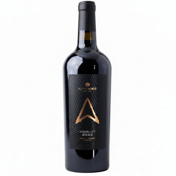 Vino Tinto Punto Norte Merlot 2022 Coahuila, México - Vino Mexicano - La Cava