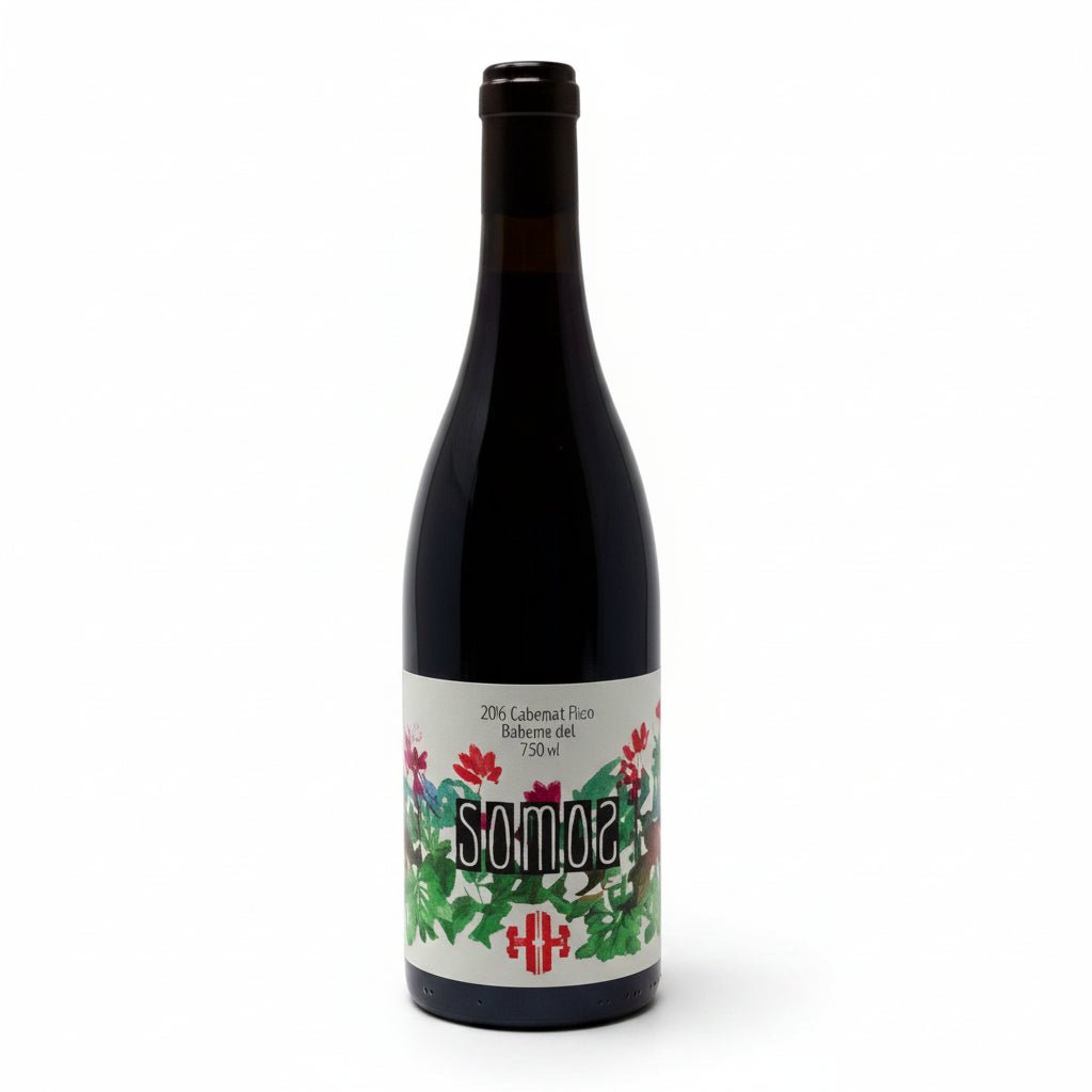 Vino Tinto Somos Cabernet Franc 750ml - La Cava