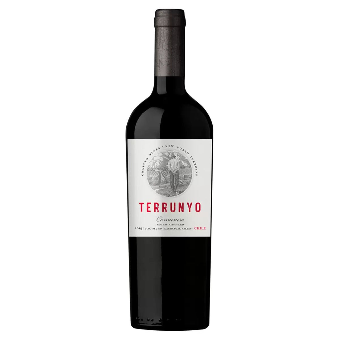 Vino Tinto Terrunyo Carmenere 750ml - vino de Chile - La Cava
