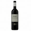 vino-tinto-tulip-cabernet-sauvignon-2023-750ml-israel