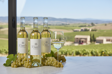 Vinos de Rueda españa con uvas